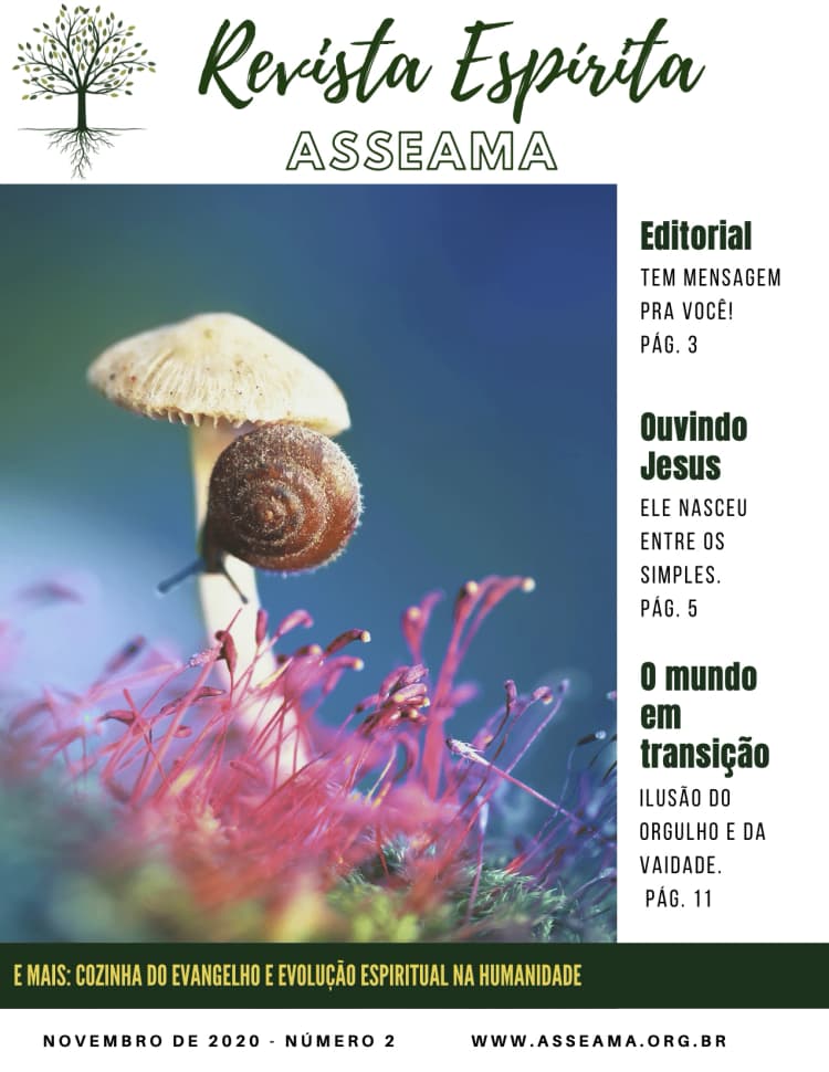 imagem de capa de Revista Espírita Asseama edição 2 (nov/2020)