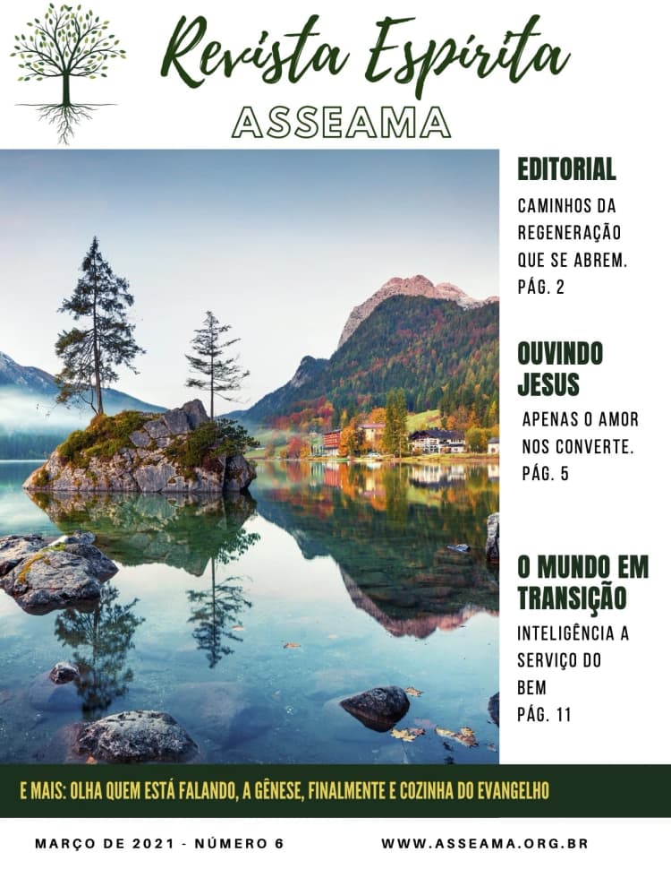 imagem de capa de Revista Espírita Asseama edição 7 (abr/2021)