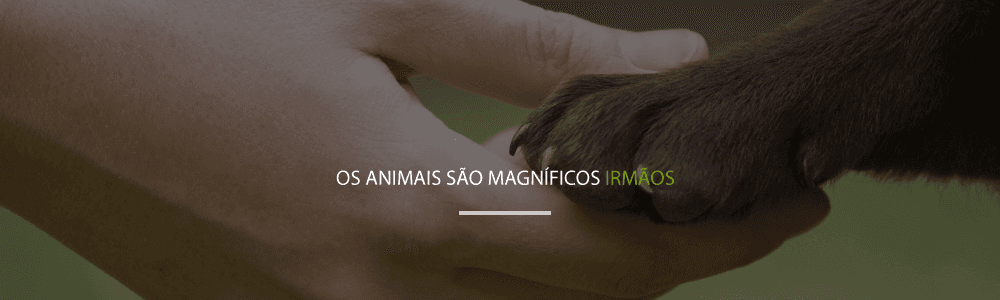 Imagem de uma mão segurando uma pata de cachorro com um escrito Os animais são magníficos irmãos