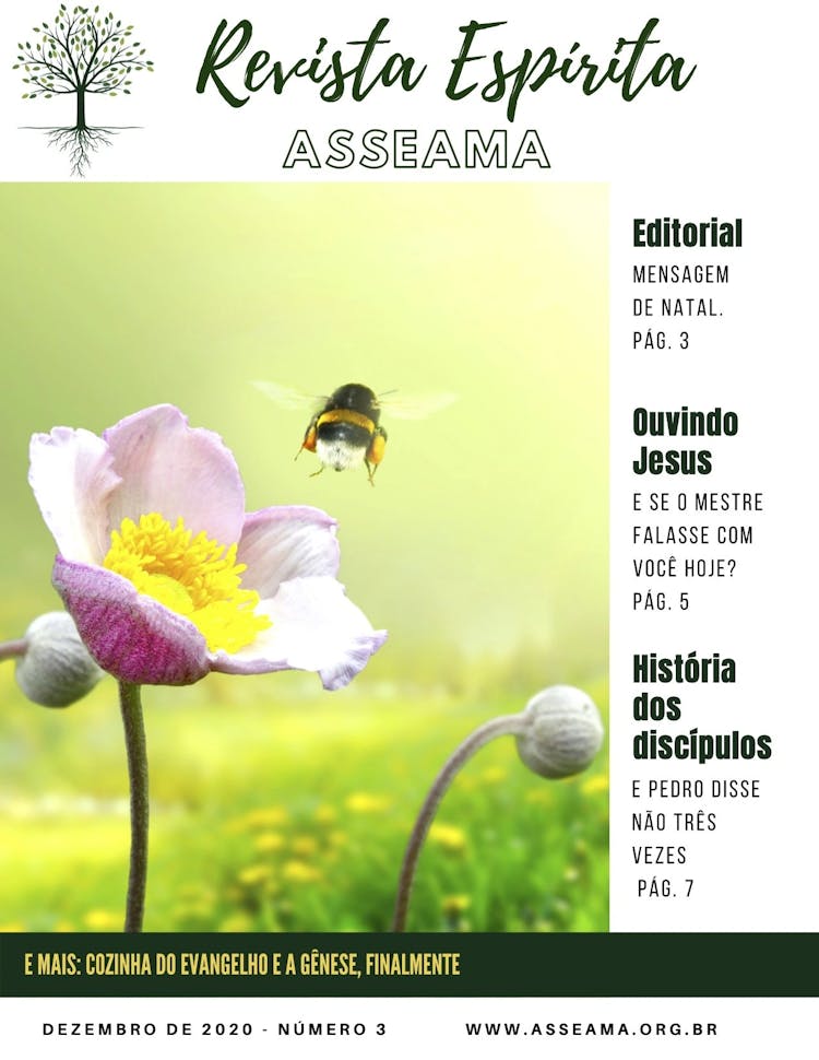 imagem de capa de Revista Espírita Asseama edição 3 (dez/2020)