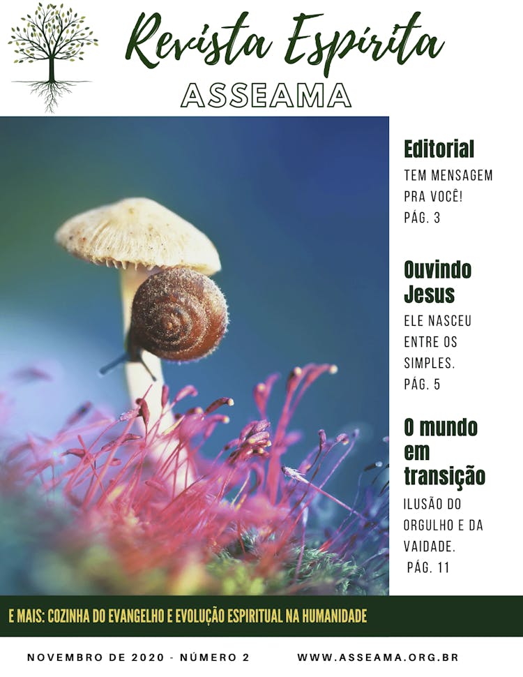 imagem de capa de Revista Espírita Asseama edição 2 (nov/2020)
