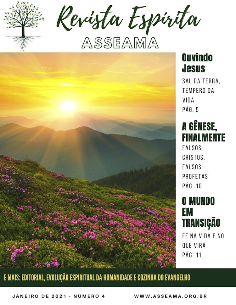 imagem de capa de Revista Espírita Asseama edição 4 (jan/2021)