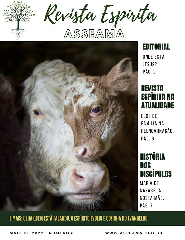 imagem de capa de Revista Espírita Asseama edição 8 (mai/2021)